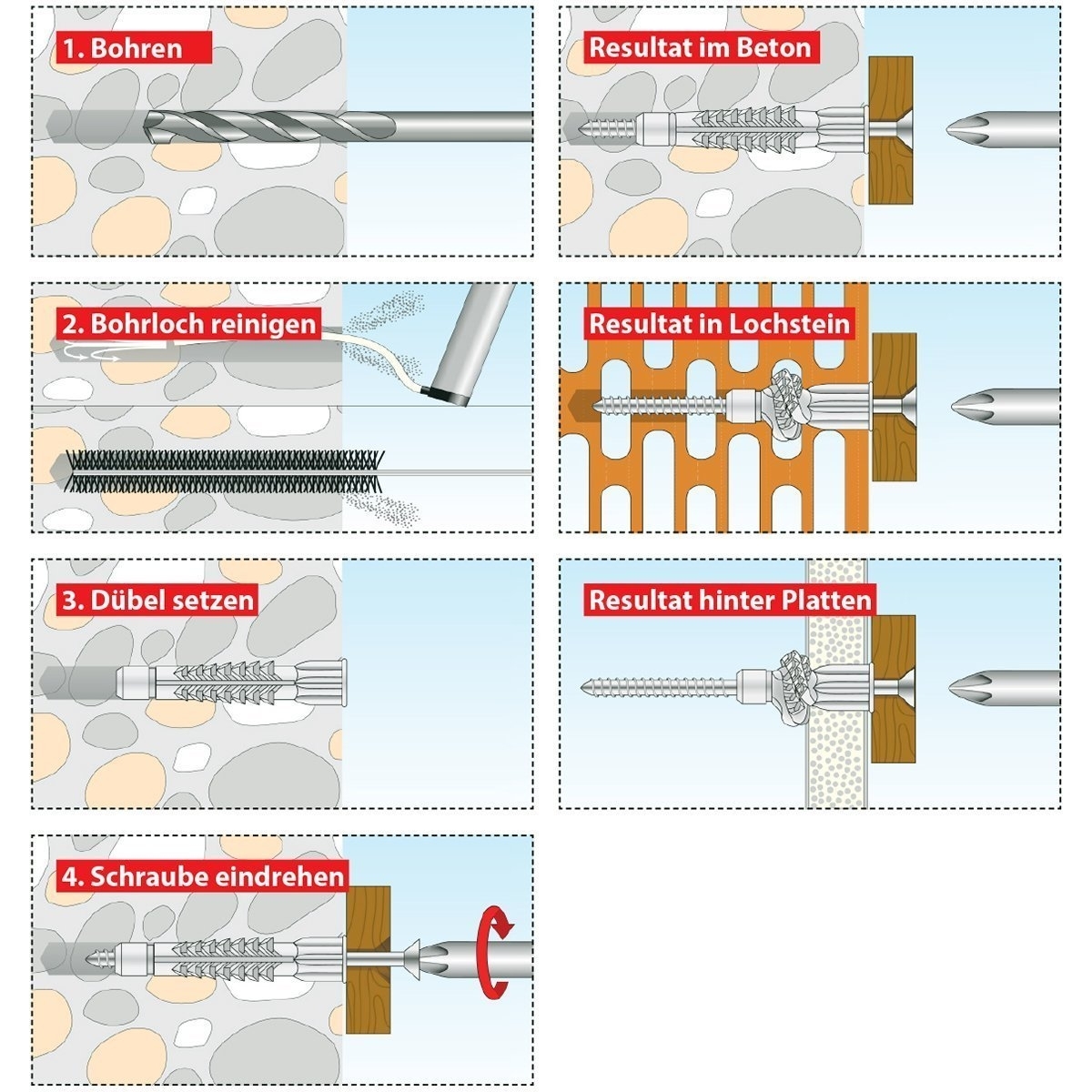 Allzweckdübel mit Kragen Deco 12x76 mm in Runddose - 3